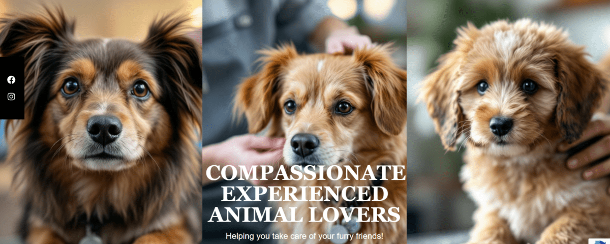 Uptown Pet Spa Scottsdale