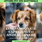 Uptown Pet Spa Scottsdale