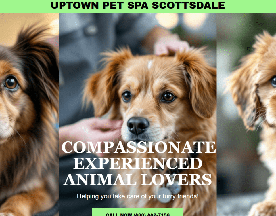Uptown Pet Spa Scottsdale